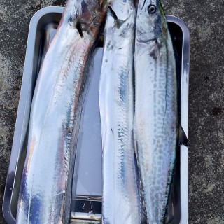 魚捌き教室