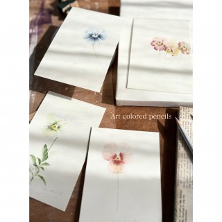 『幸せピカソ』の暮らしにアート　色鉛筆講座