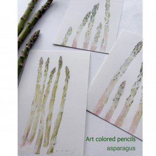 『幸せピカソ』の暮らしにアート　色鉛筆講座